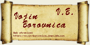 Vojin Borovnica vizit kartica